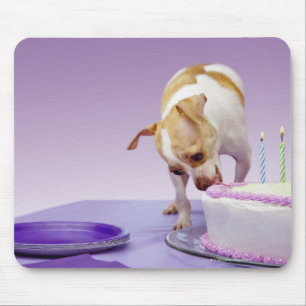 Mousepad Persiga (chihuahua) comer o bolo de aniversário n