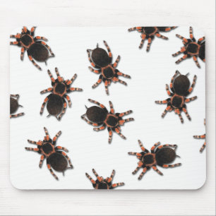 Mousepad Personalizar Tarântulas