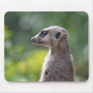 Mousepad Personalize o produto