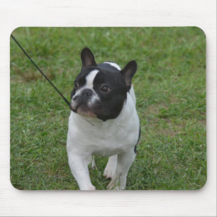 Mousepad Personalize o produto