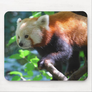 Mousepad Personalize o produto