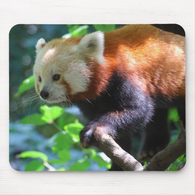 Mousepad Personalize o produto (Frente)