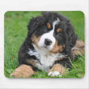 Mousepad Personalized Pet Lover Dog Photo