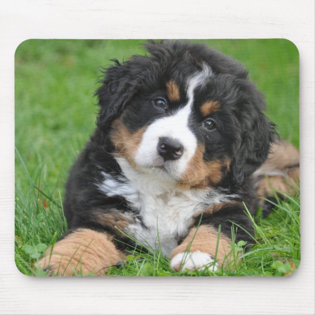 Mousepad Personalized Pet Lover Dog Photo (Frente)