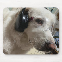 Personalized Pet Photo 