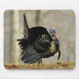 Mousepad Peru masculino que suporta, Illinois