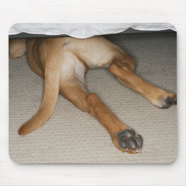 Mousepad Pés e cauda de um cão de laboratório amarelo escon (Frente)