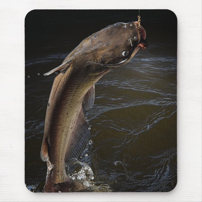 Mousepad Pesca do peixe-gato de canal da noite (Frente)
