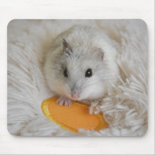 Mousepad Pet de Hamster Branco Bonito
