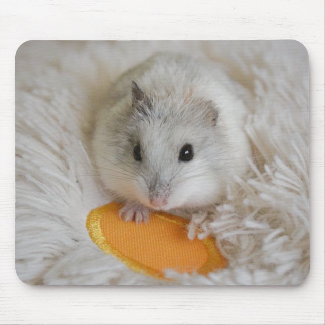 Mousepad Pet de Hamster Branco Bonito (Frente)