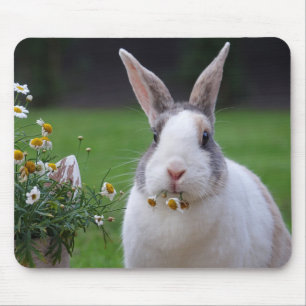 Mousepad Pet Dutch Bunny Rabbit com flores