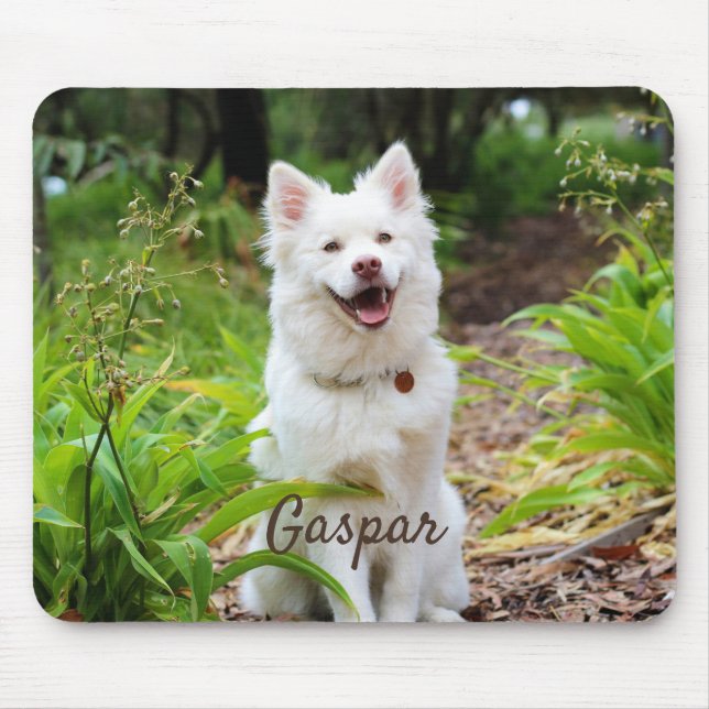 Mousepad Pet Photo E Name Personalizados (Frente)