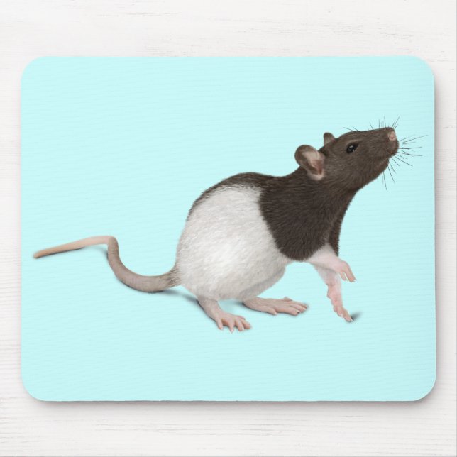 Mousepad Pet Rat Painting (Frente)