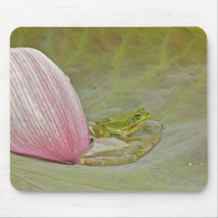 Mousepad Pétala da flor do sapo e de lótus, China,