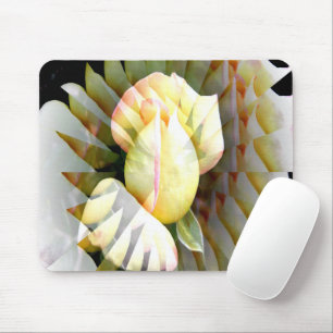 Mousepad Pétalas da Paz......