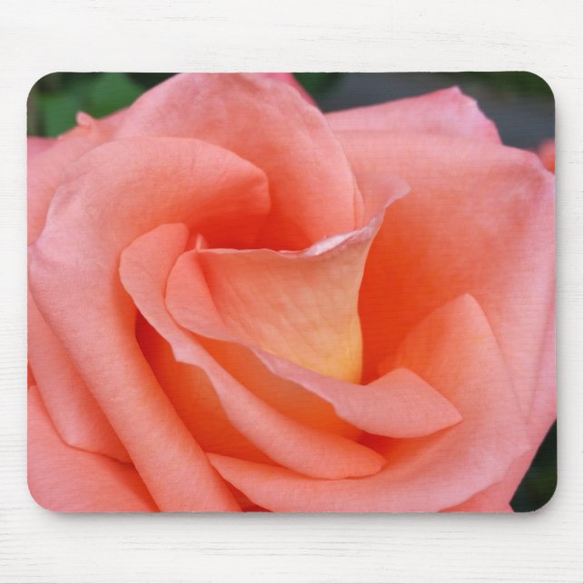 Mousepad pétalas rosa rosa rosa rosa (Frente)