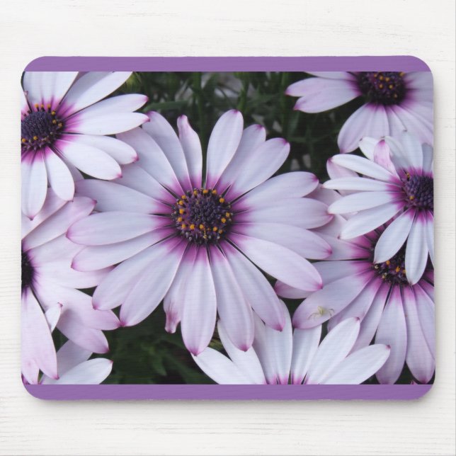 Mousepad Pétalas Roxas Leves com Fundo Roxo (Frente)