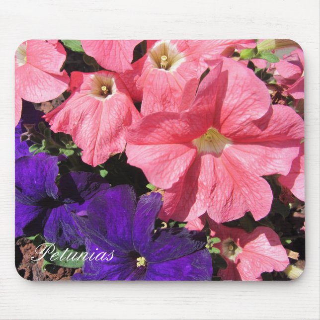 Mousepad Petúnias Rosa e Roxo (Frente)