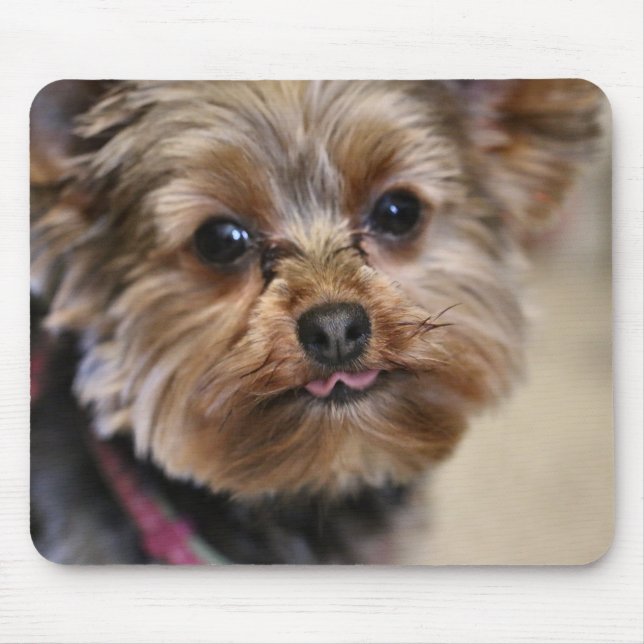 Mousepad Pfft! (Frente)