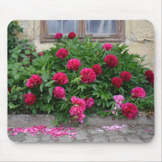 Mousepad Pfingstrosen