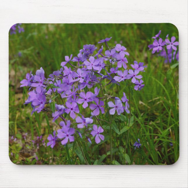 Mousepad Phlox Azul Selvagem (Frente)