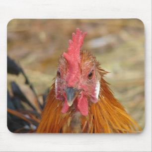 Mousepad Phoenix baixa a câmera