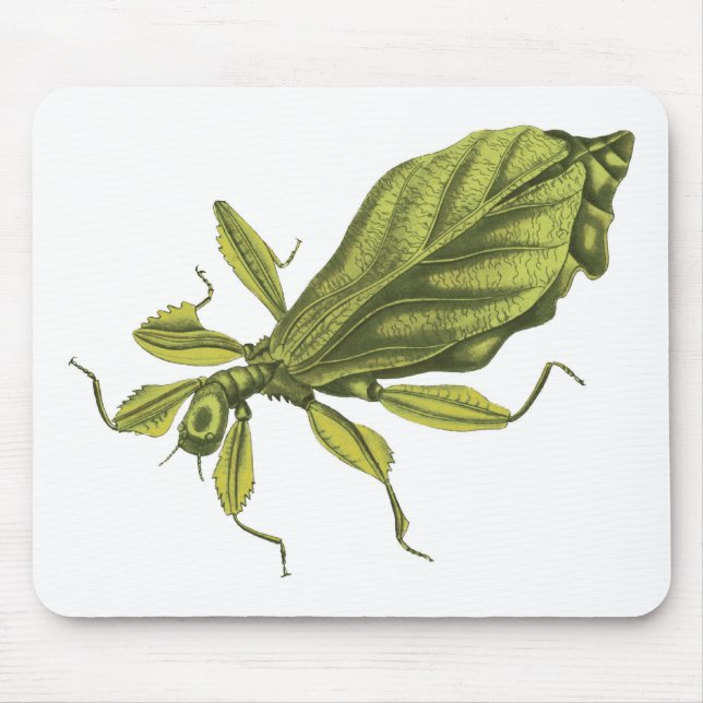 Mousepad Phyllium Siccifolia (Frente)