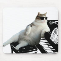 Pianista de gato cego