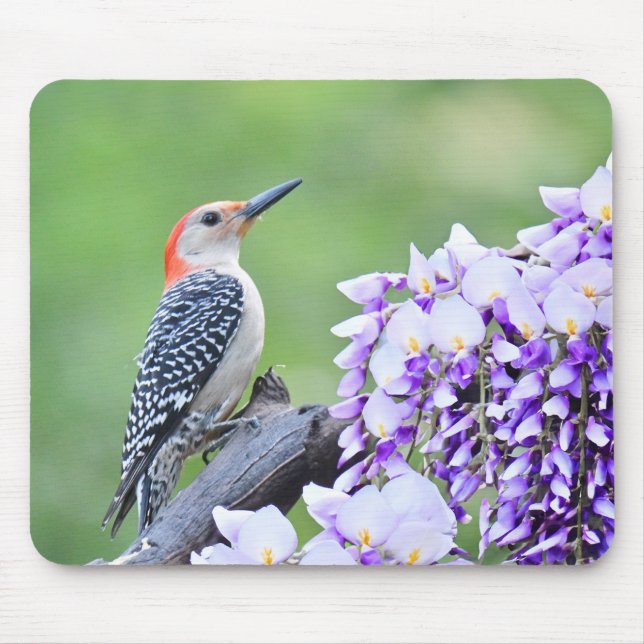 Mousepad Pica-Pau (Frente)