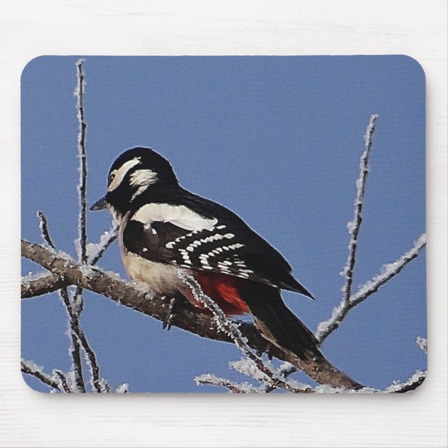 Mousepad Pica-pau-pintado bonito (Frente)