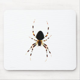 Mousepad Picnnm de aranha