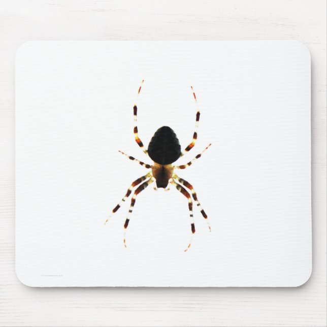 Mousepad Picnnm de aranha (Frente)