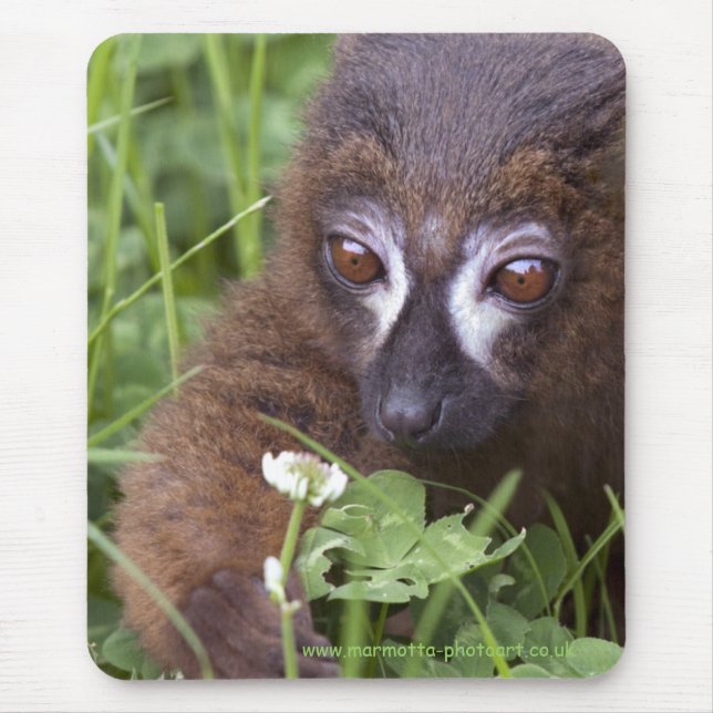 Mousepad Picting Clover Mousemat (Frente)