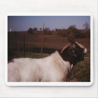 Mousepad pictures024