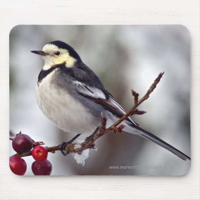 Mousepad Pied Wagtail Mousemat (Frente)