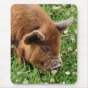 MOUSEPAD PIG CUTO