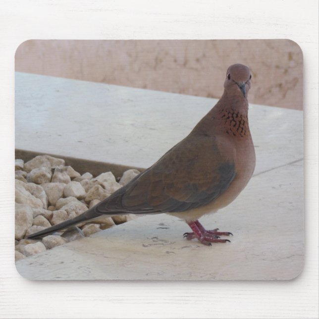 Mousepad Pigeon mousepad, personalizável (Frente)