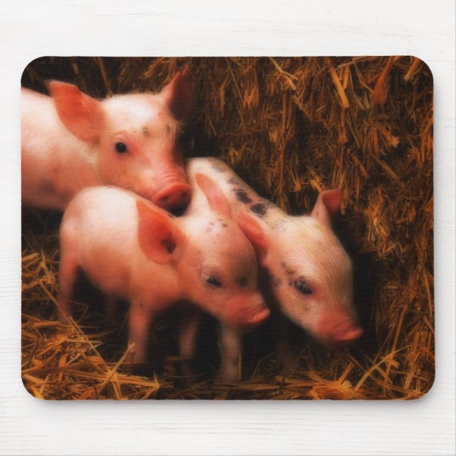 Mousepad PIggies (Frente)