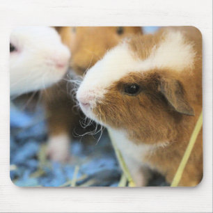 Mousepad Piggy