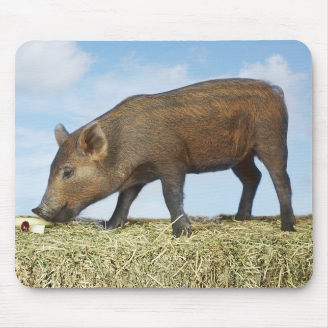 Mousepad Piglet Eating (Frente)