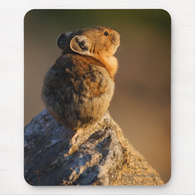 Mousepad pika (Frente)
