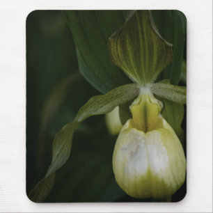 Mousepad Pilha amarela 2 do mouse