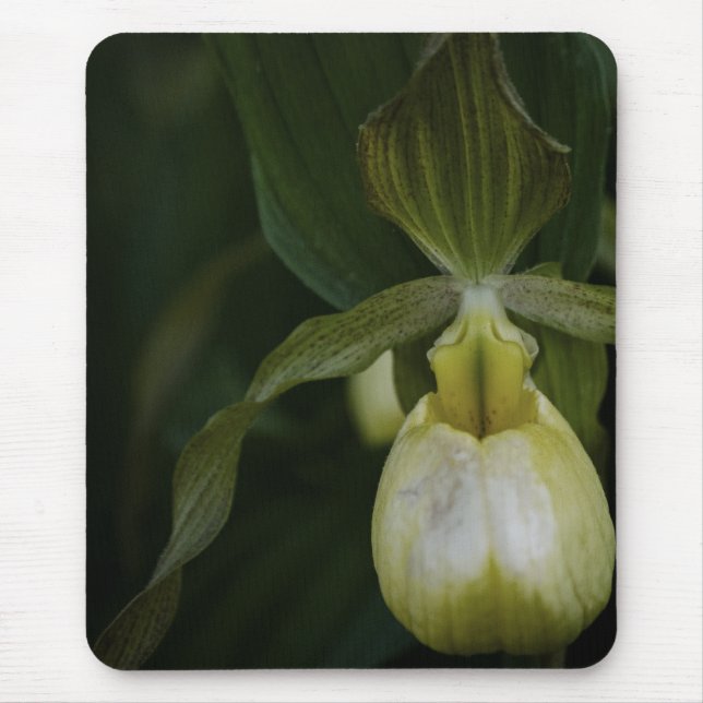 Mousepad Pilha amarela 2 do mouse (Frente)