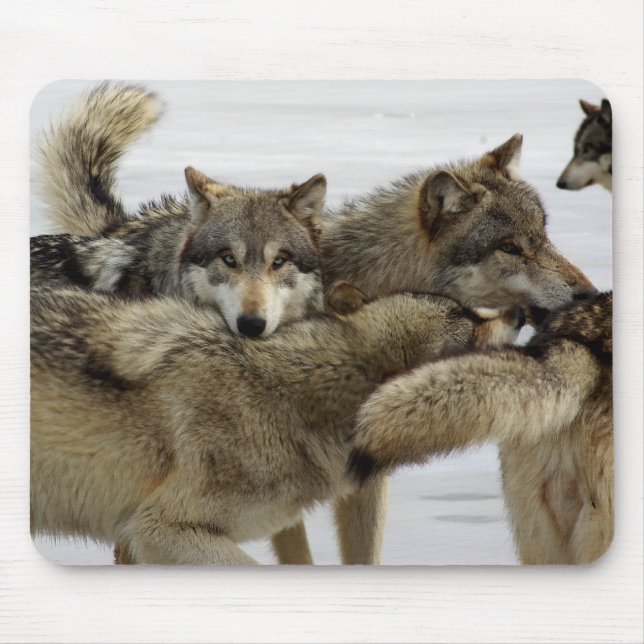 Mousepad Pilha do lobo (Frente)