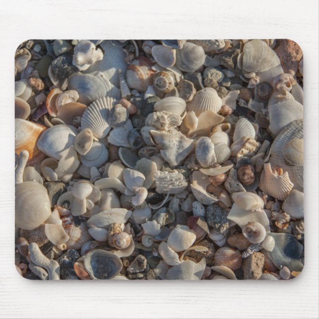 Mousepad Pilha dos Seashells (Frente)