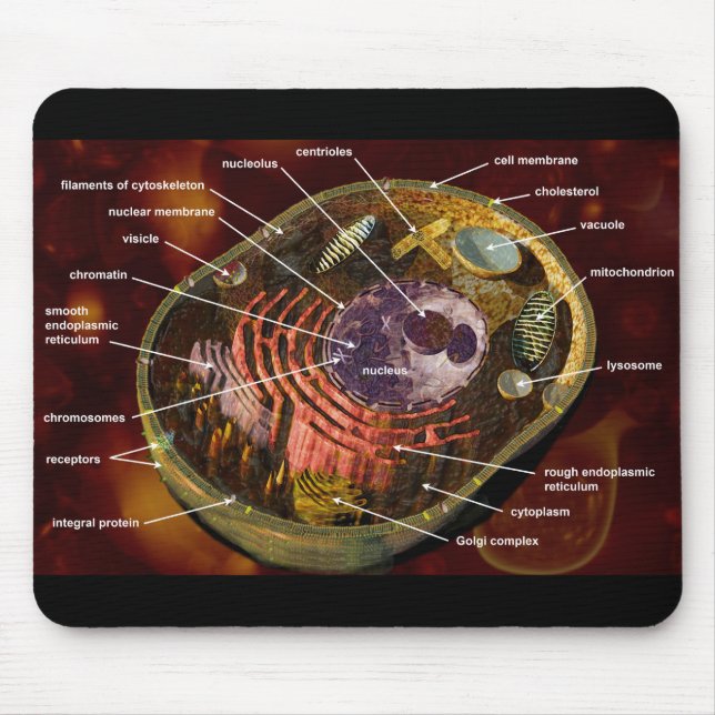 Mousepad Pilha humana etiquetada (Frente)