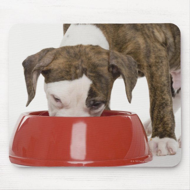 Mousepad Pimenta-do-mato-grande a comer fora do prato (Frente)