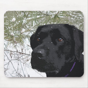 Mousepad Pinças espumantes - Labrador de neve - Laboratór
