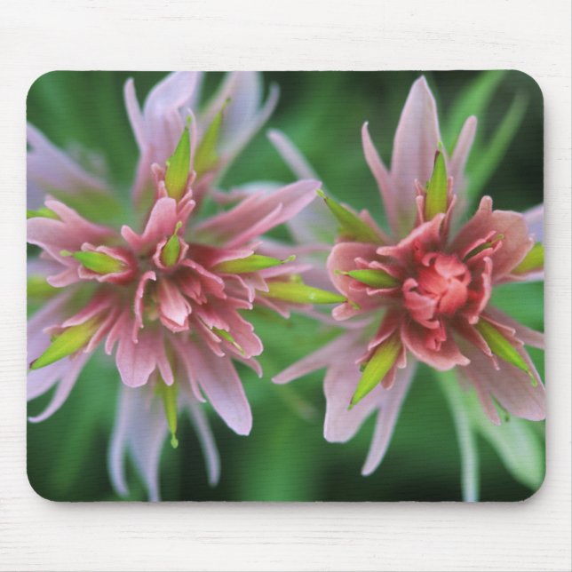 Mousepad Pincel Indiano, Banff NP, Alberta, Canadá (Frente)