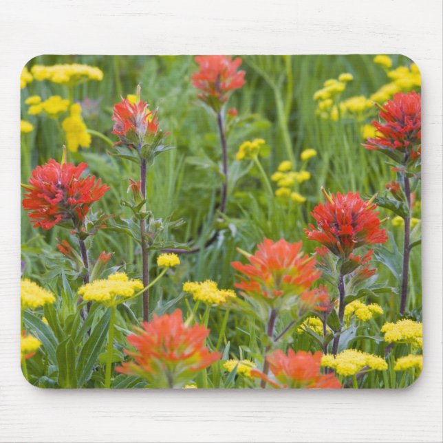 Mousepad Pincel indiano e flores silvestres de biscuitroot (Frente)